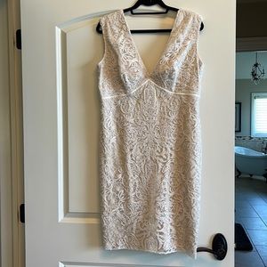 Tadashi shodi lace dress.